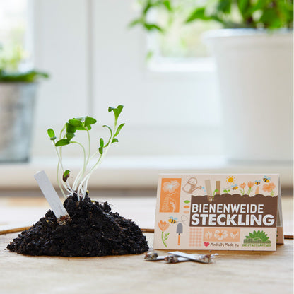 Seed cutting "Bee Pasture"