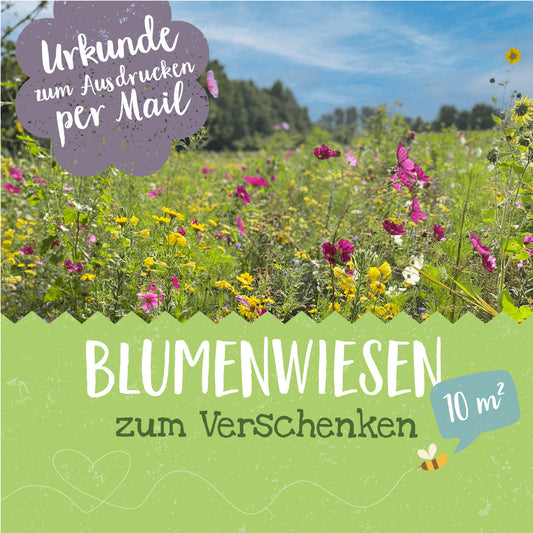 Sponsorship for 10 m² flower meadow to print