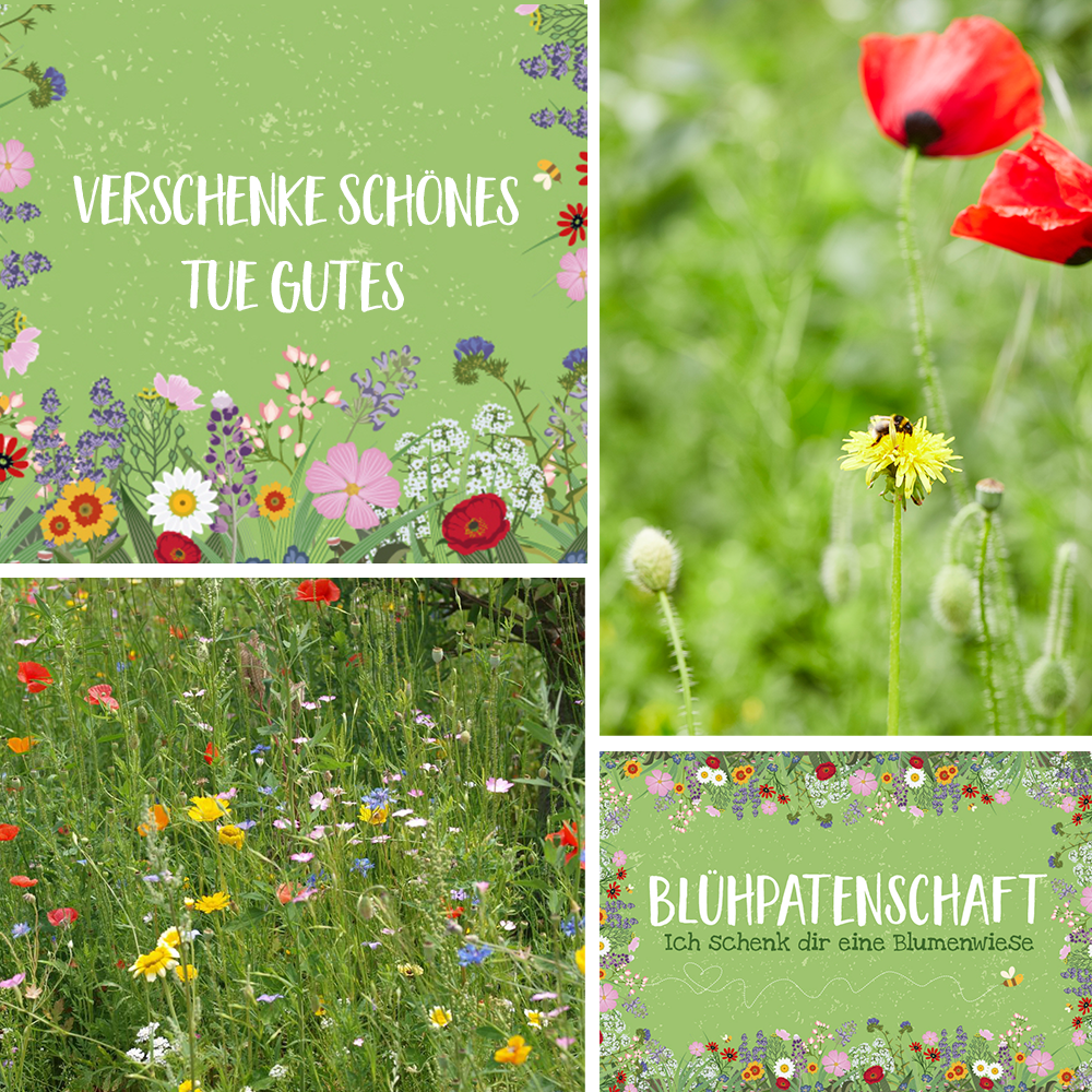 Flower sponsorship for 100 m² flower meadow