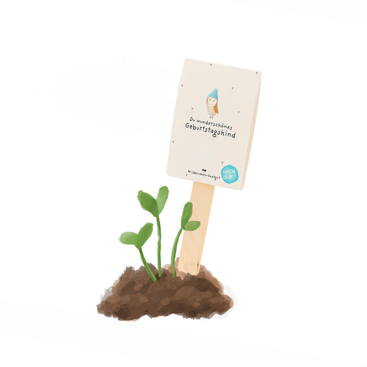 You beautiful birthday child - seed greeting