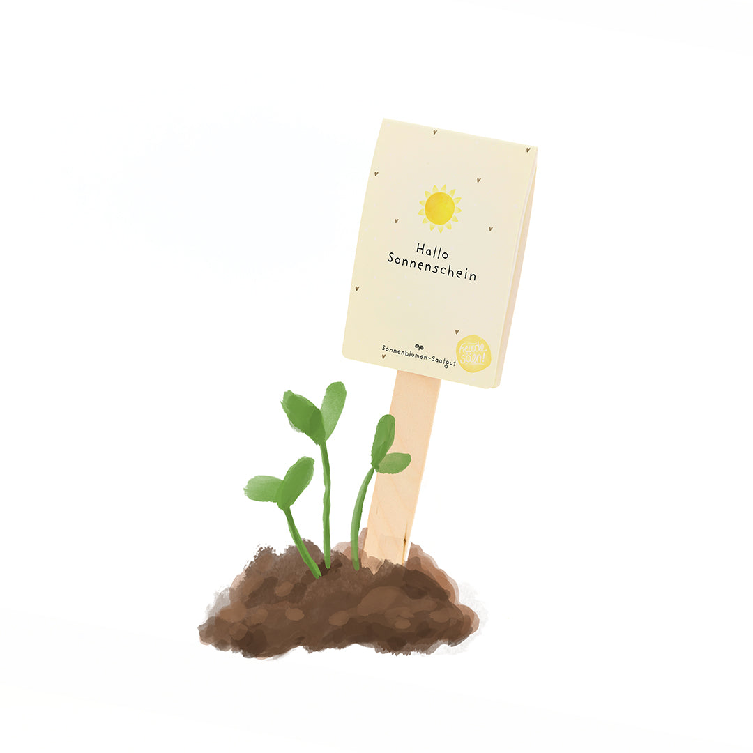 Hello Sunshine - Seed Greeting