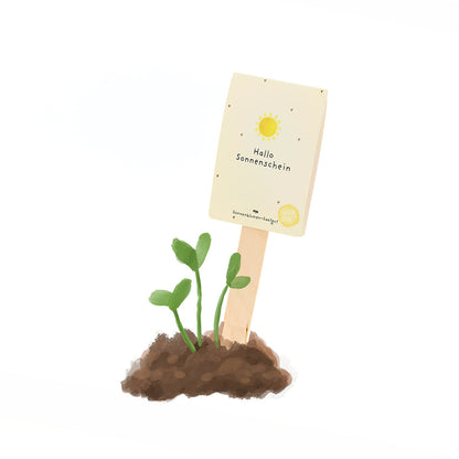 Hello Sunshine - Seed Greeting