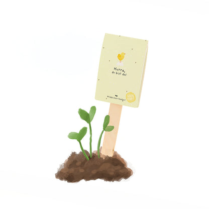 Hurray you are here - seed greeting
