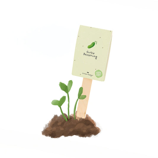 Cucumber Improvement - Seed Greetings (Organic)