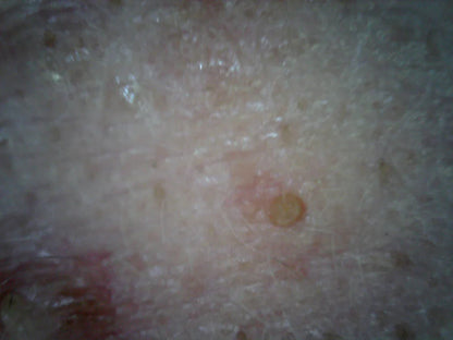 Supereyes B007 USB Digital Mikroskop Digitalmikroskop 1 bis 300-facher Vergrößerung mit LED-Beleuchtung und Stativ (Copy) (Copy)