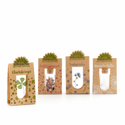 Set of 4 emotion bringers