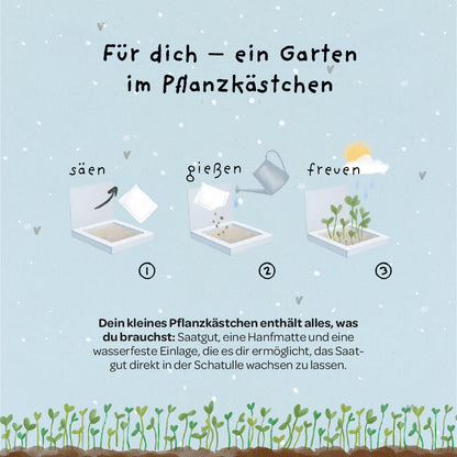 Pflanzkästchen - Herzrasen