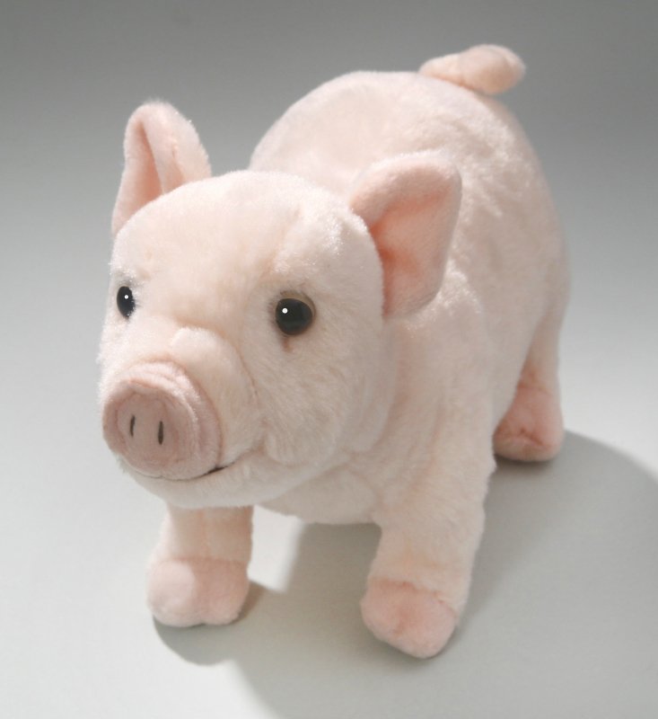 Schwein, Ferkel ca. 26 cm