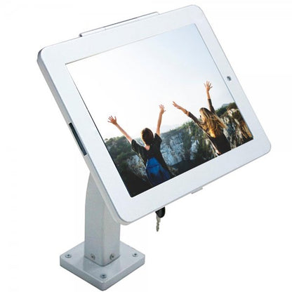 SYSTEM-S Wand und Tisch Halterung abschließbar für iPad 10 Pro 11 Air 4 5 in Grau