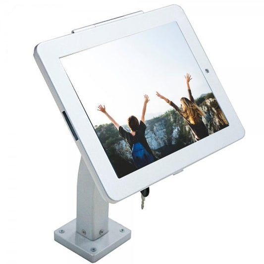 SYSTEM-S Wand und Tisch Halterung abschließbar für iPad 10 Pro 11 Air 4 5 in Grau