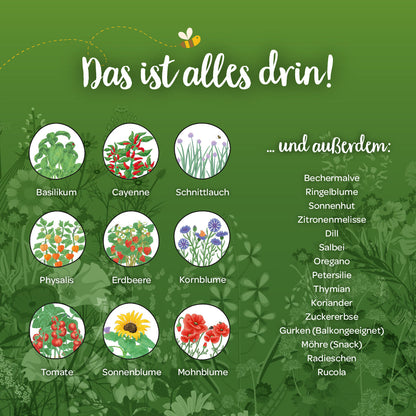 Saatgut-Adventskalender "Winterlandschaft"