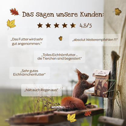 Open-air buffet for squirrels