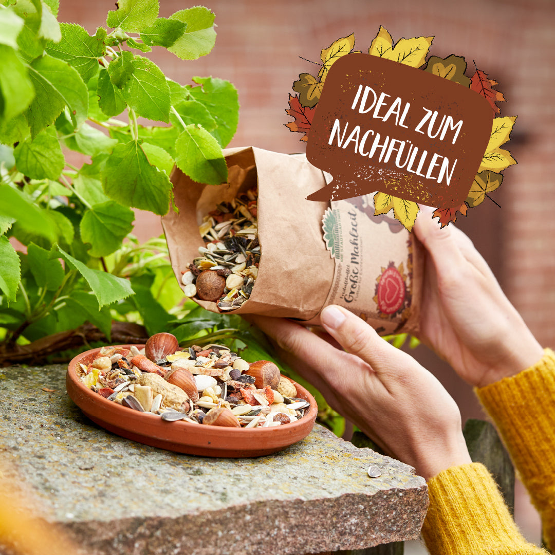 Large meal – 1 L squirrel food
