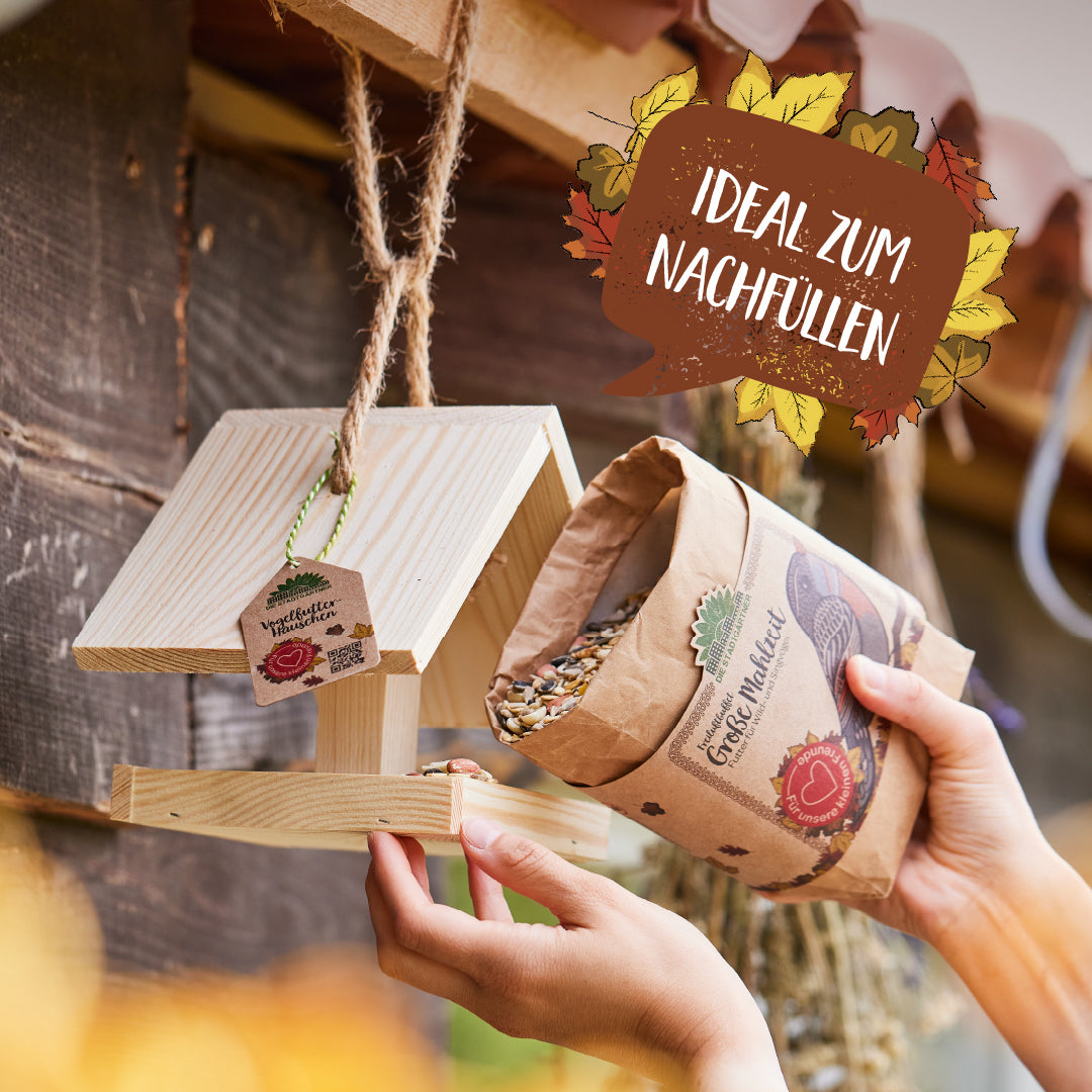 Large meal – 1 L bird food