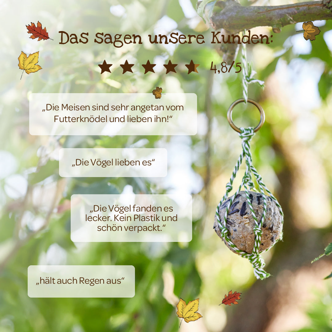 4 organic treats – food dumplings