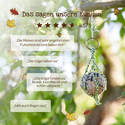 4 organic treats – food dumplings