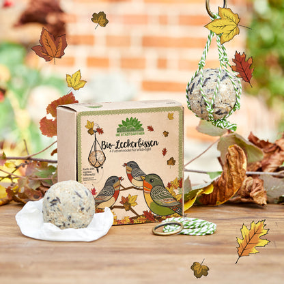 4 organic treats – food dumplings