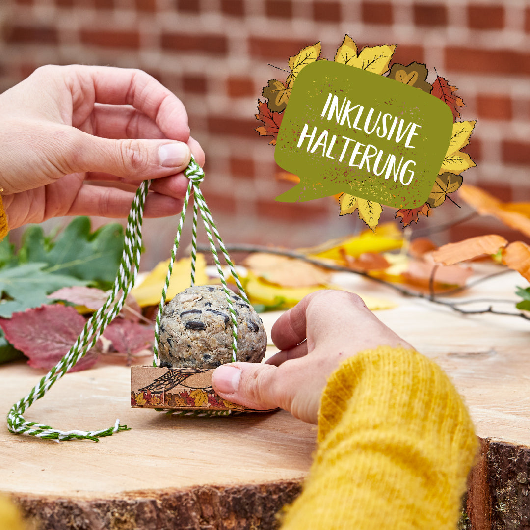 Organic treats – food dumplings