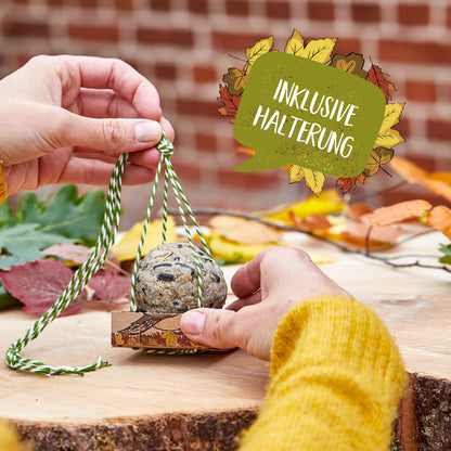 Organic treats – food dumplings