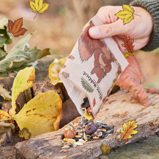 Small meal – squirrel food