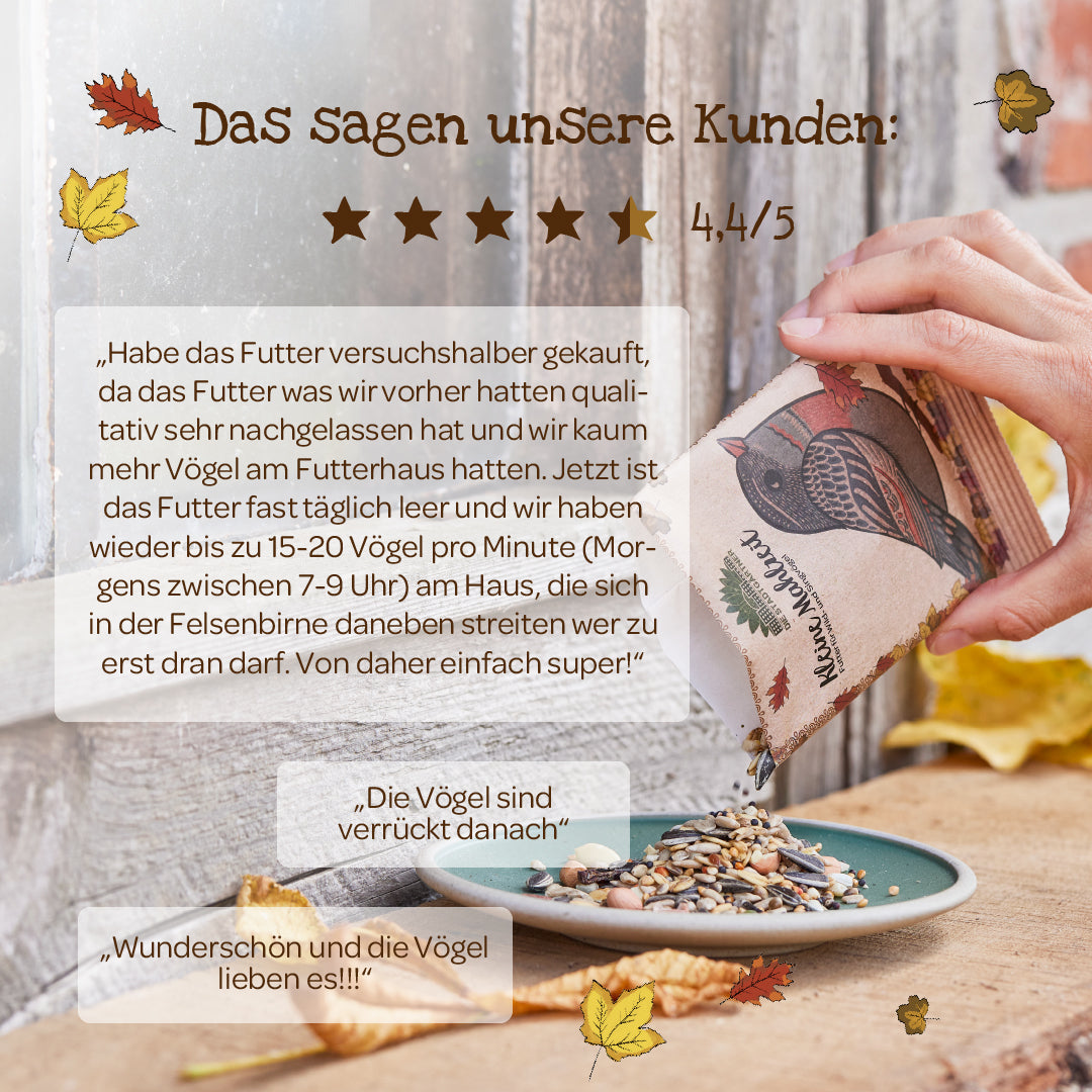 Small meal – bird food