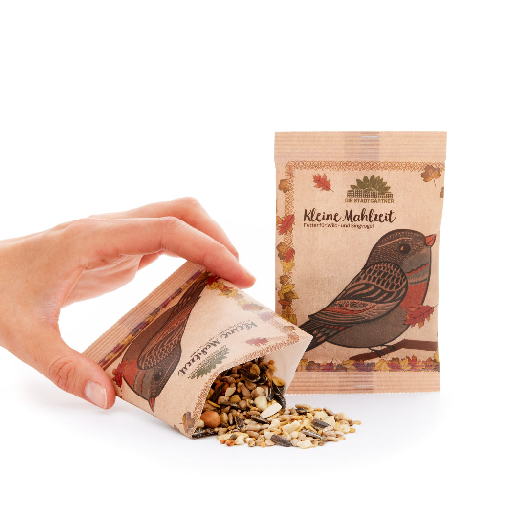 Small meal – bird food
