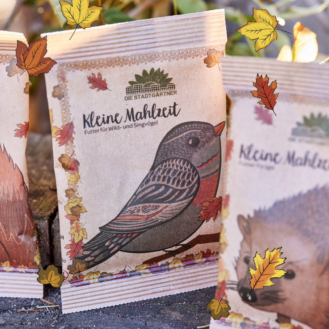 Small meal – bird food