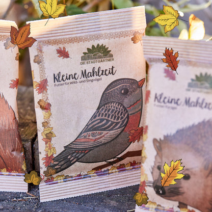 Small meal – bird food
