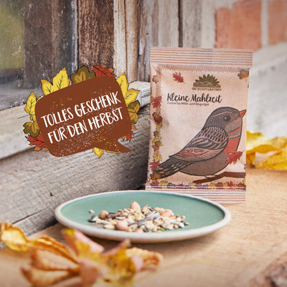 Small meal – bird food