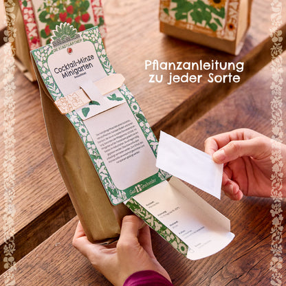 Anzuchtset – Minigarten BIO-Schnittlauch
