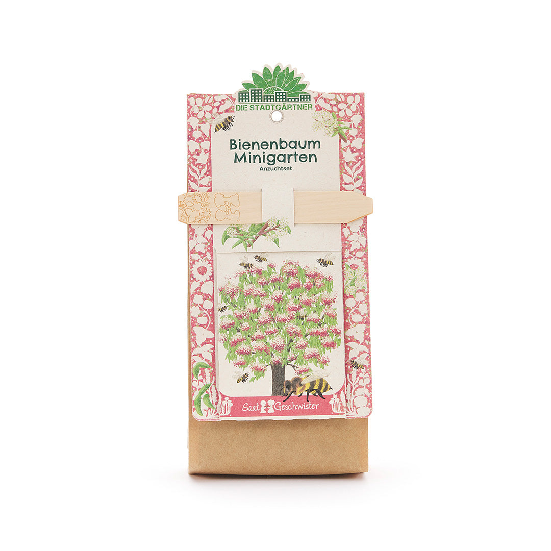 Growing kit mini garden bee tree