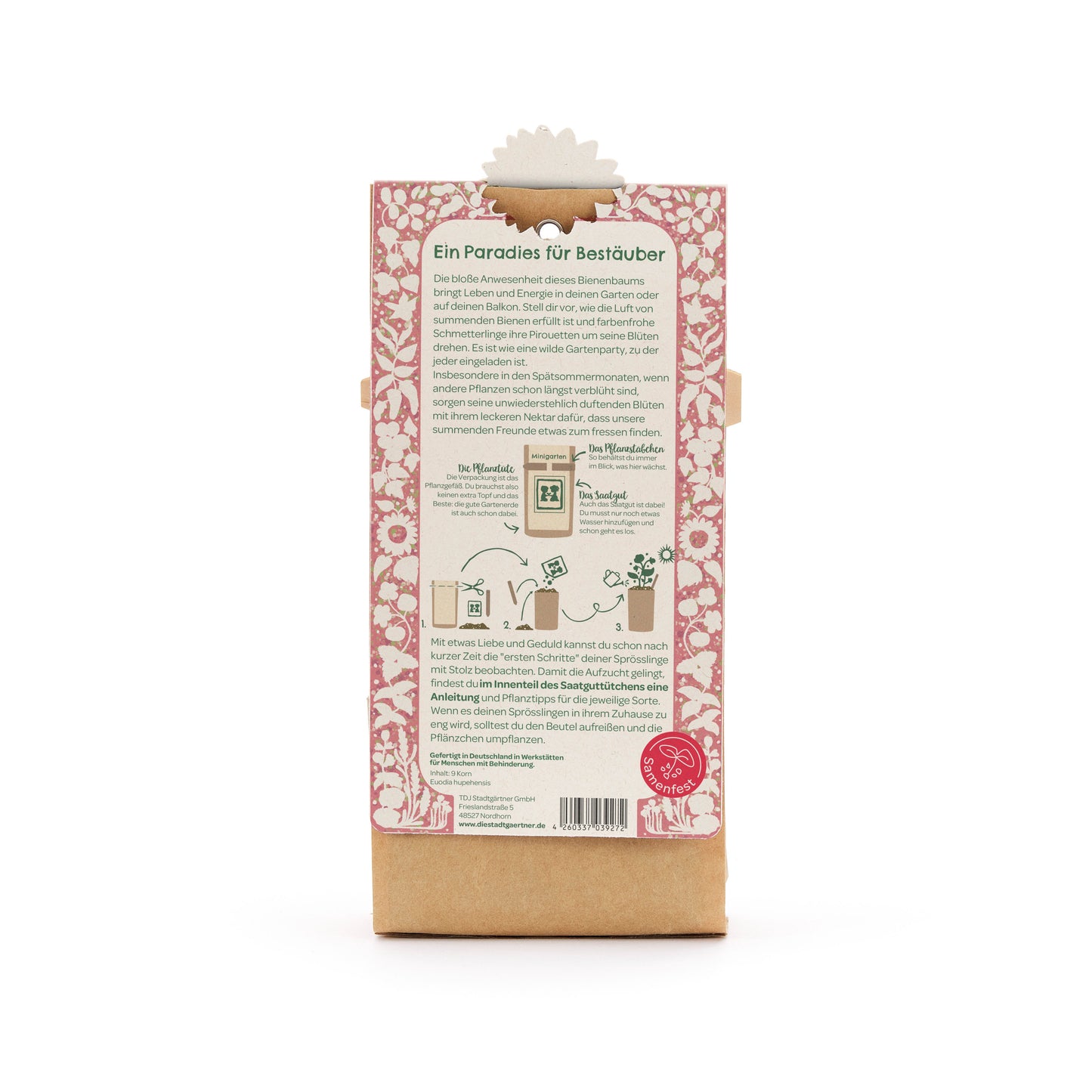 Growing kit mini garden bee tree