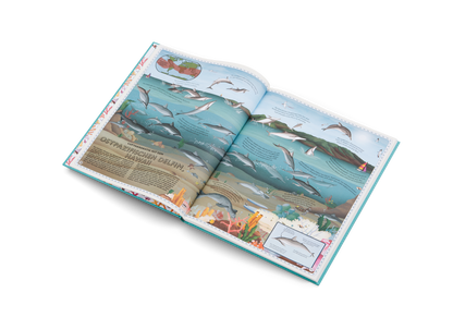Der Atlas der Ozeane