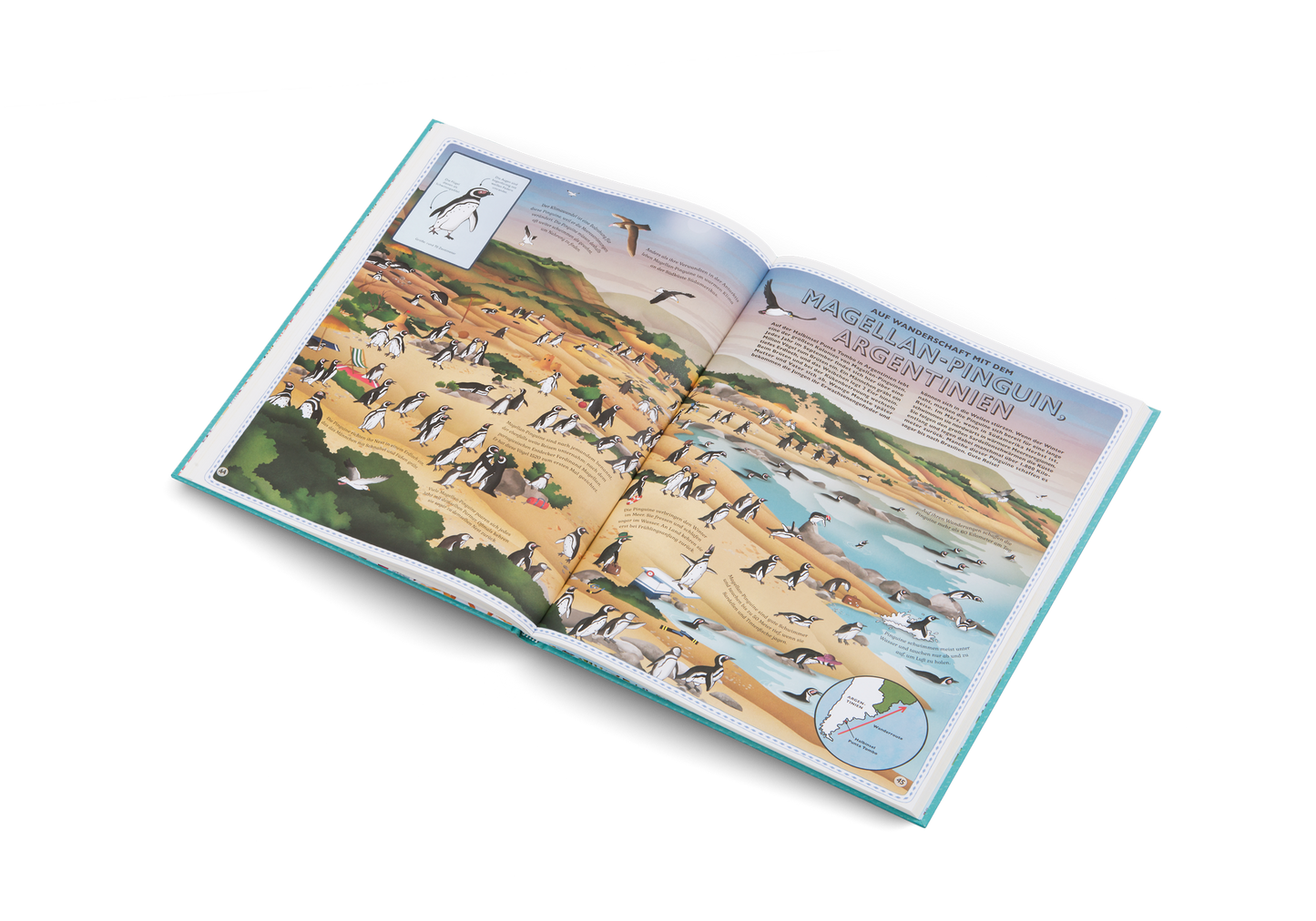 Der Atlas der Ozeane