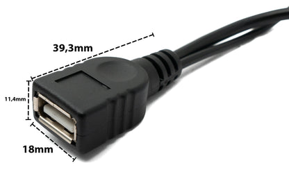 SYSTEM-S USB 2.0 Y Kabel 35 cm Typ A Buchse zu Typ A Stecker & 3.1 Typ C Buchse Adapter
