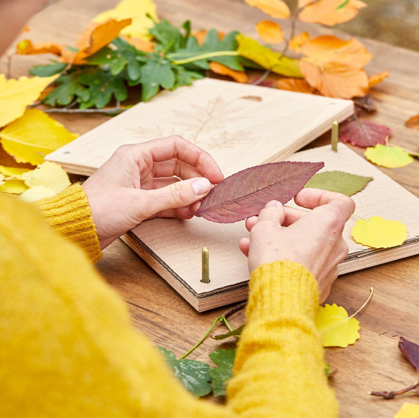 Leaf press for leaves &amp; flowers