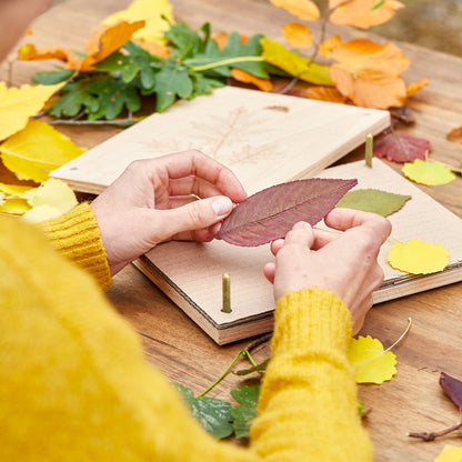Leaf press for leaves &amp; flowers
