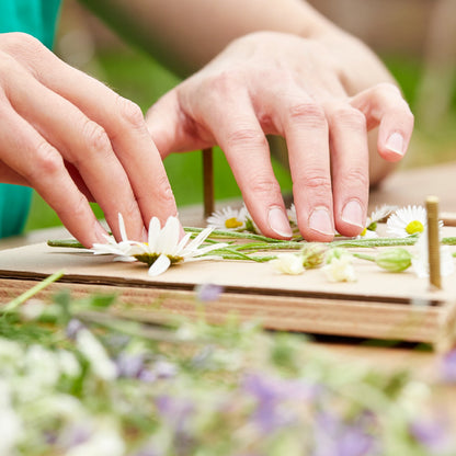 Flower press for flowers, blossoms &amp; co.