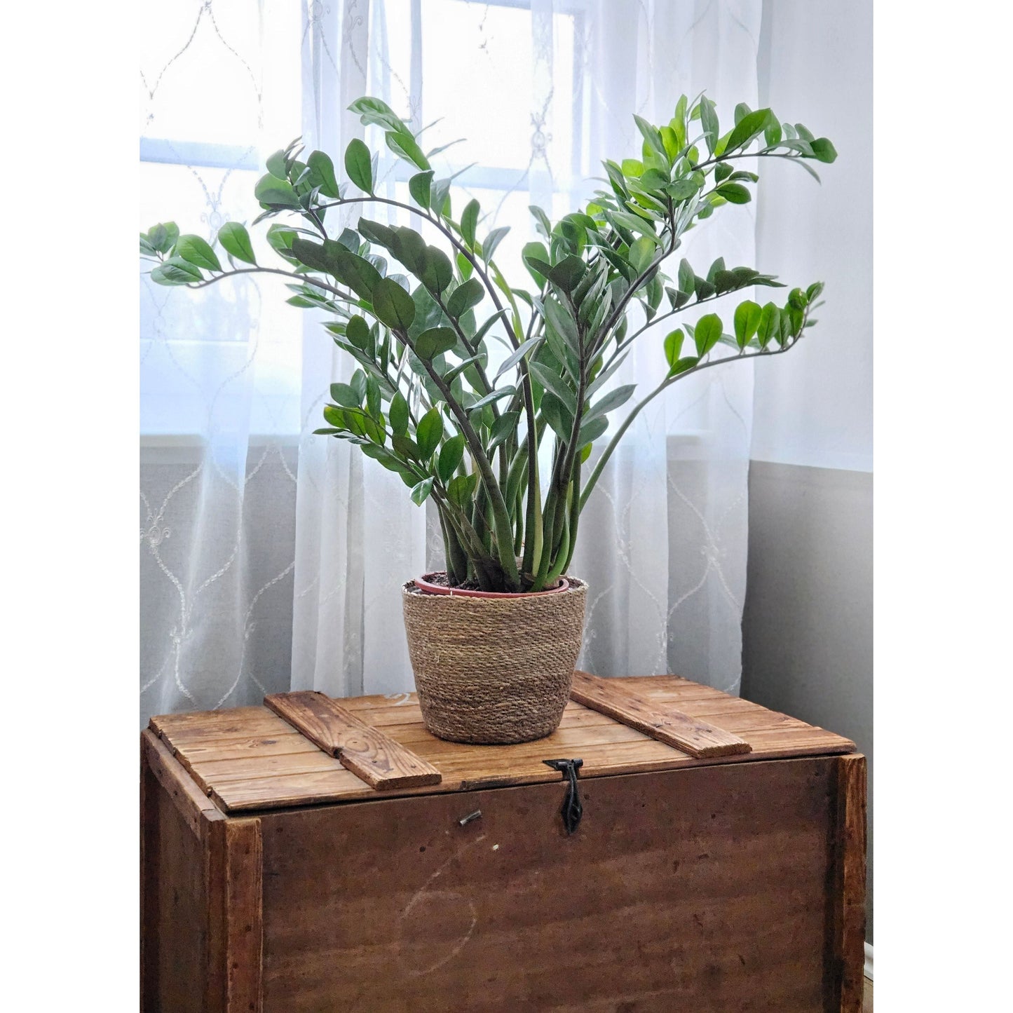 Blumentopf Pflanztopf Pflanzkorb Korb Übertopf Seegras braun rund Groß Ø 25 cm