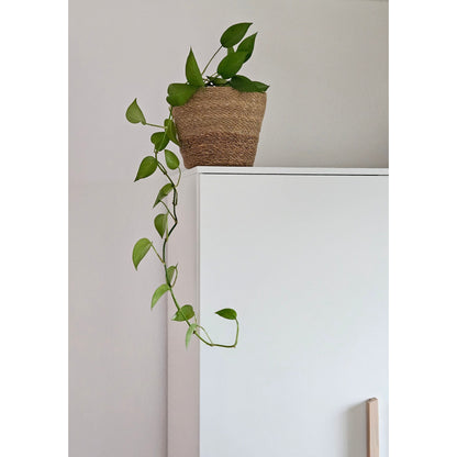 Blumentopf Pflanztopf Pflanzkorb Korb Übertopf Seegras braun rund Groß Ø 25 cm