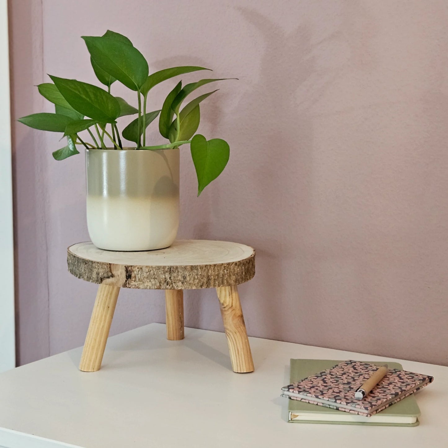 Pflanztopf Übertopf Blumentopf 3er Set Metalltopf creme beige rund Pflanzenübertopf