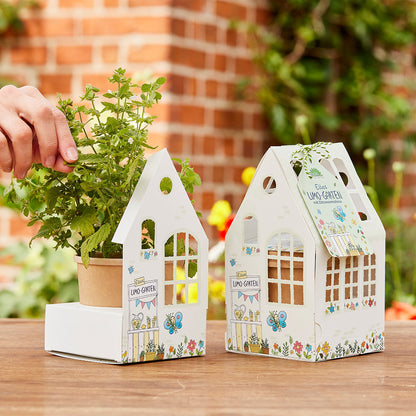 Greenhouse "Ella's Lemon Garden" – Organic Lemon Balm