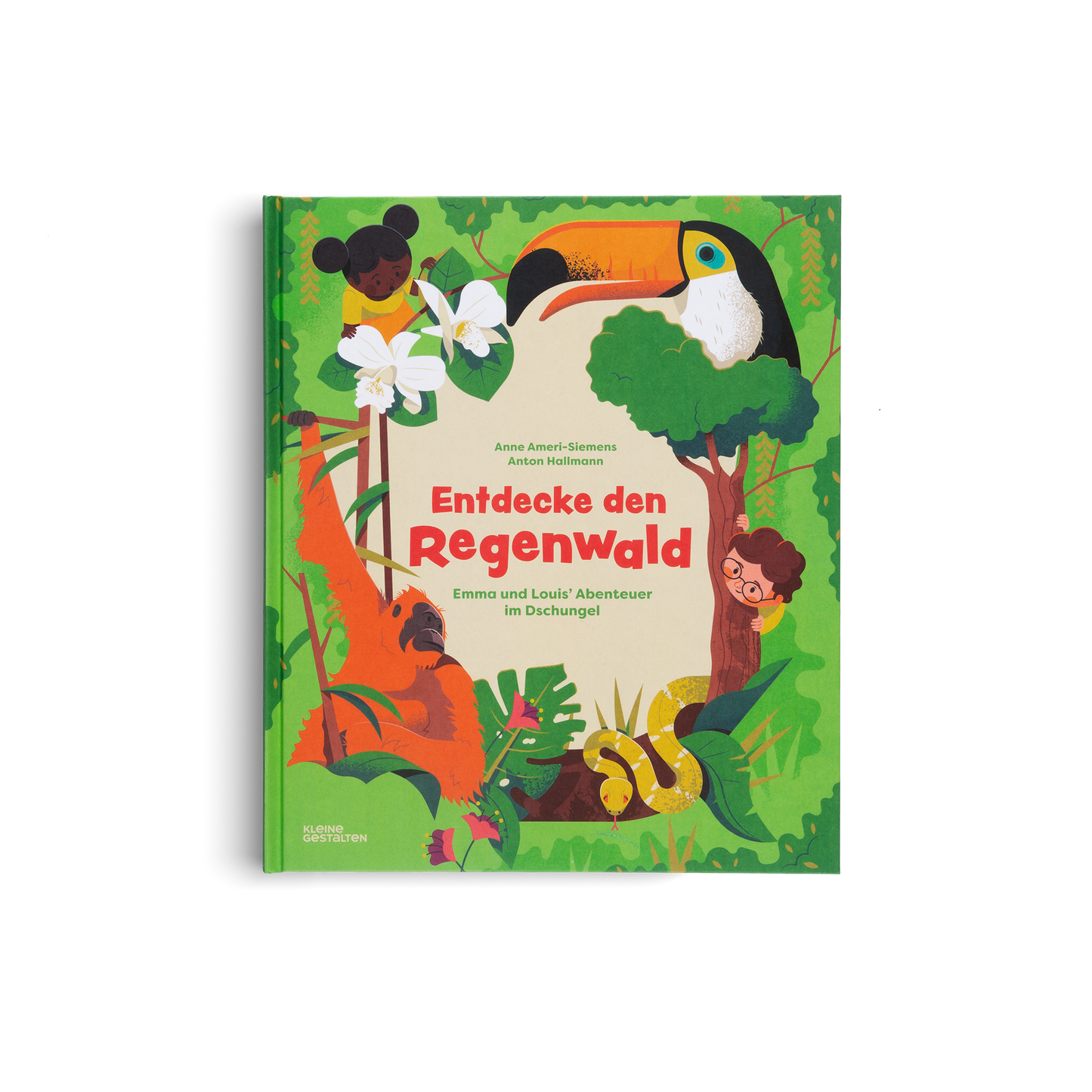Entdecke den Regenwald
