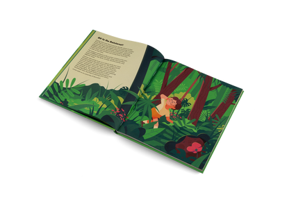 Explore the Rainforest