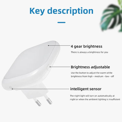 2 Pieces LED Night Light Plug-In with Twilight Sensor