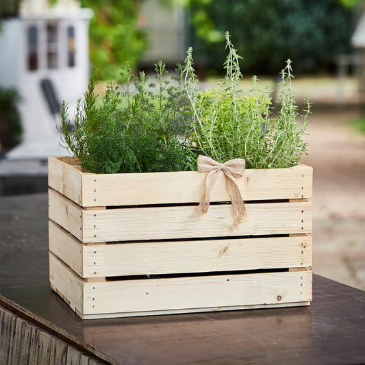 Light wooden box