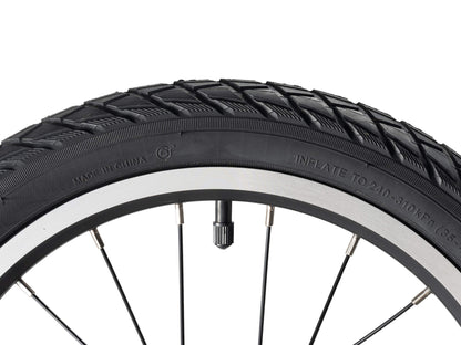 Darwin -Riemenantrieb 16" & 20" für Kinder