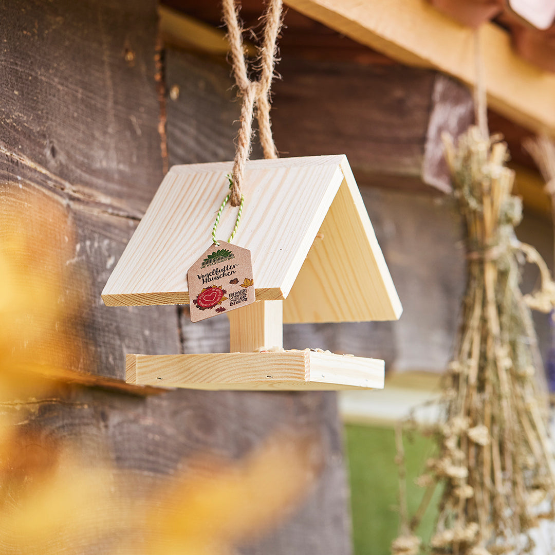 bird feeder