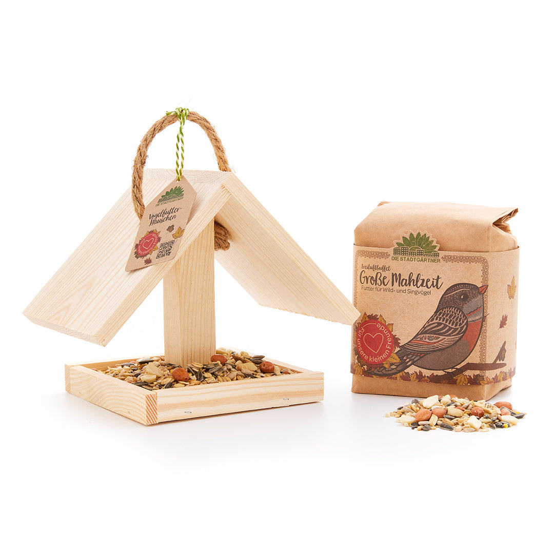 Bird feeder with a large meal
