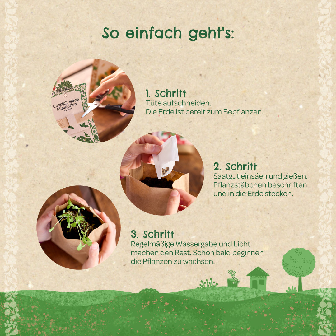 Growing kit mini garden bee tree